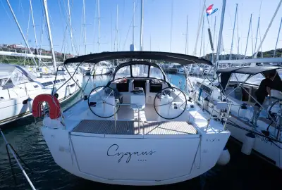 Cygnus - Photo 2