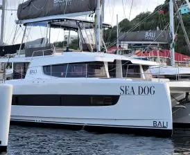 Sea Dog