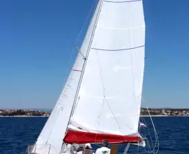 Cicoco