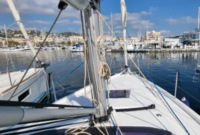 Vasco - Photo 3