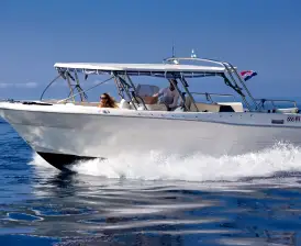 Enzo 35