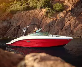 Sea Ray SPX 210