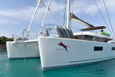 Adriatic Tiger - Photo 4