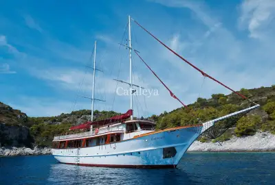 Cataleya - Photo 2