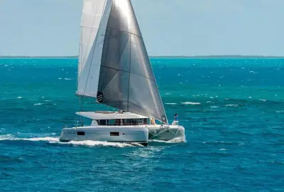 Canopée - Photo 3
