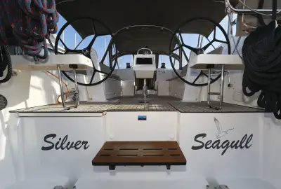 Silver Seagull - Photo 4