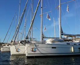 Silver Cloud 