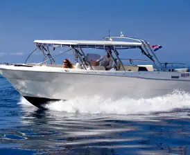 Enzo 35