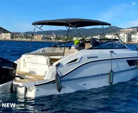 Quicksilver 805