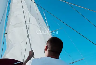 Cataleya - Photo 5