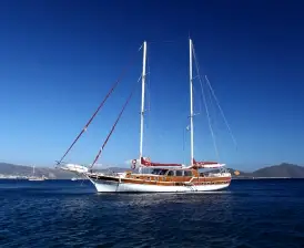 Perrinita