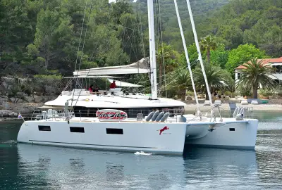Adriatic Tiger - Photo 5