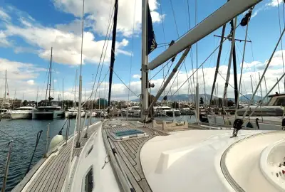 Alexandria - Photo 2