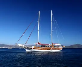 Perrinita