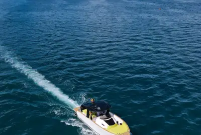 Leo - Photo 2