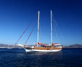 Perrinita