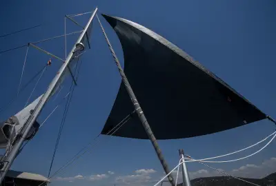Whale Symphony - Photo 2