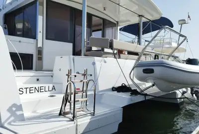 Stenella - Photo 2
