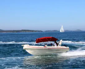 Barracuda 590 - 12