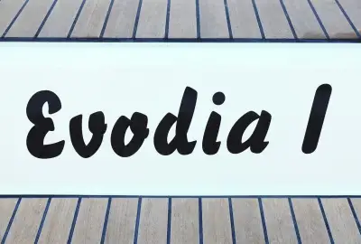 Evodia 1 - Photo 5