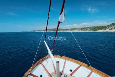 Cataleya - Photo 3