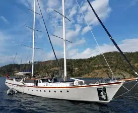 Nautilus