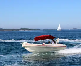 Barracuda 590 - 12