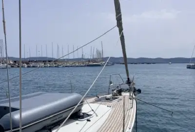 Zeus - Photo 5