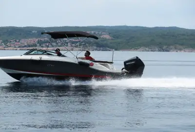 Sea Ray SPX 210 - Photo 3