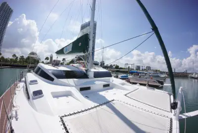Island Time - Photo 4