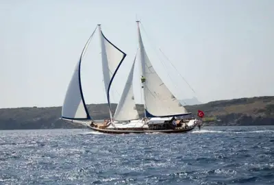 Bibi Aysegul - Photo 3