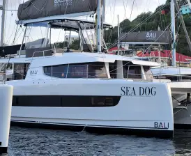 Sea Dog
