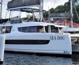 Sea Dog