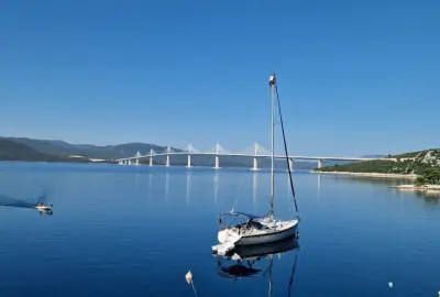 Maslina - Photo 5