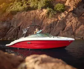 Sea Ray SPX 210