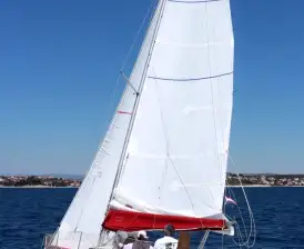 Cicoco