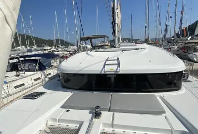 Falcon - Photo 2