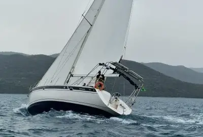 Maslina - Photo 4