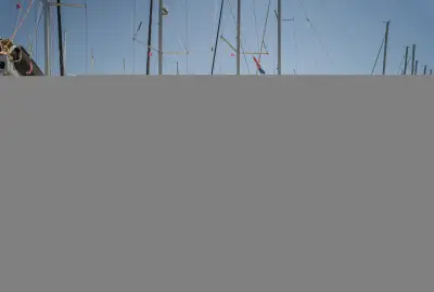 Calanthe - Photo 2