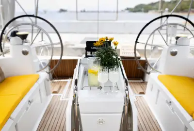 Lemon - Photo 4