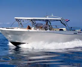 Enzo 35