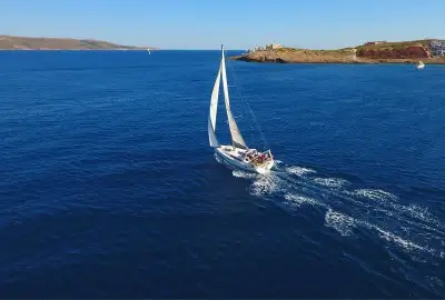 Theagenis - Photo 2
