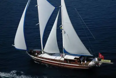 Bibi Aysegul - Photo 2