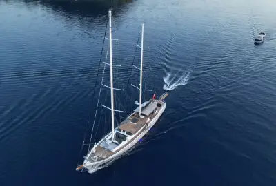 Nautilus - Photo 4