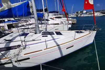 Phat Dolphin - Photo 3