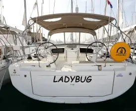 Ladybug