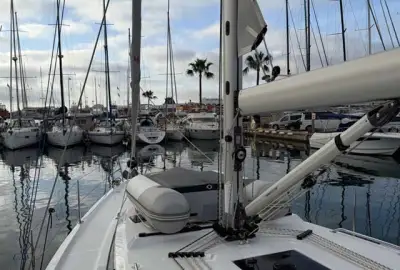 Aurelia - Photo 4