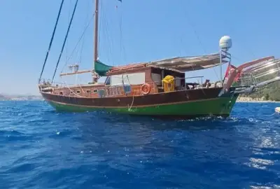 Mandalina - Photo 2