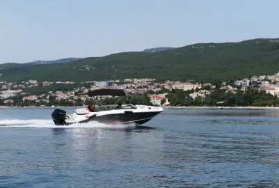 Sea Ray SPX 210 - Photo 4