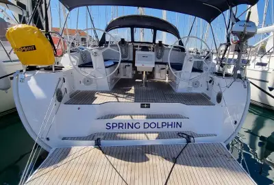 Spring Dolphin - Photo 4